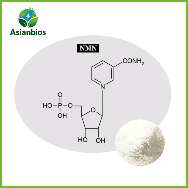 nmn powder bulk